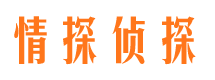 环县外遇出轨调查取证